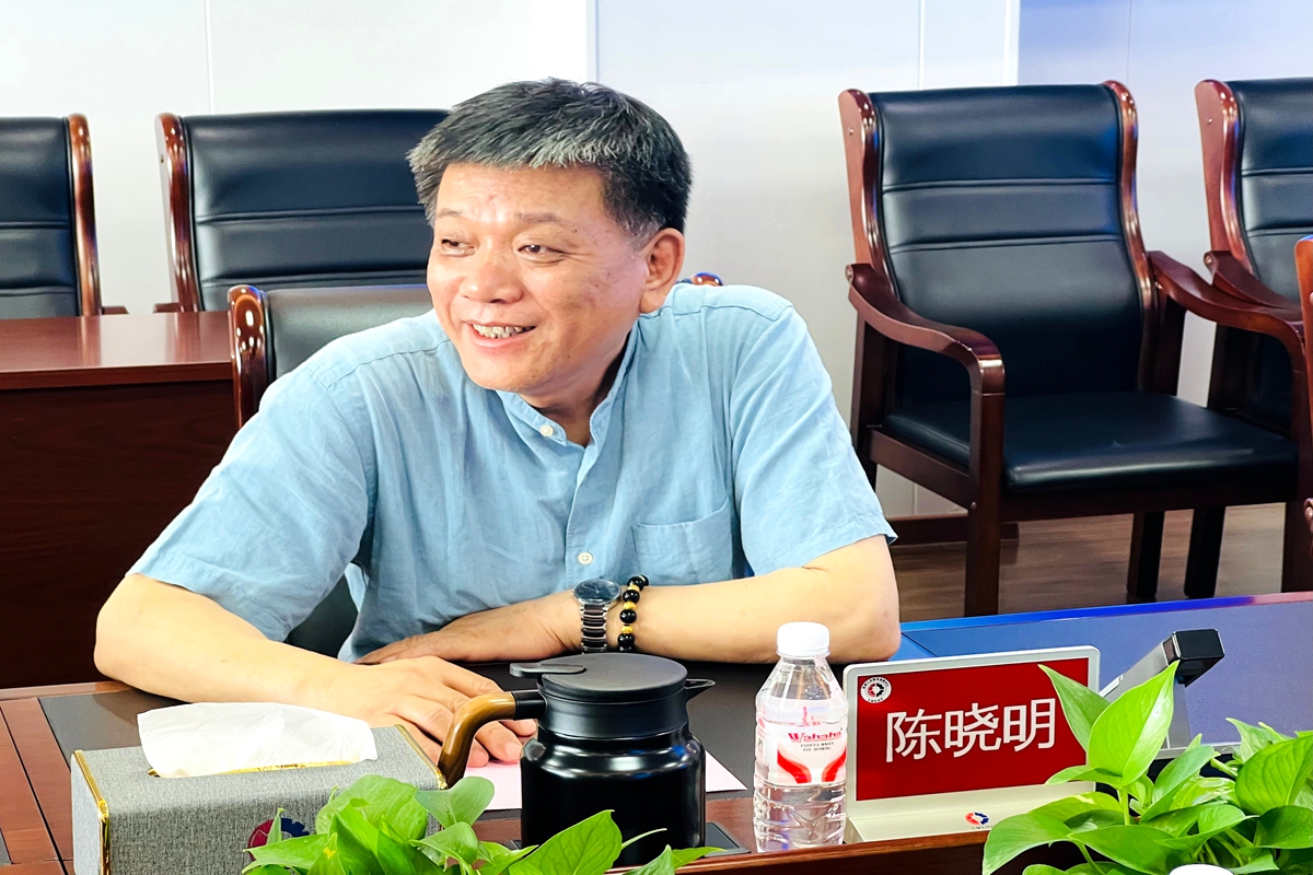 陈晓明_副本
