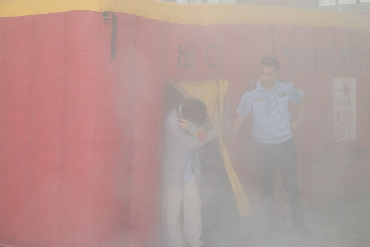 IMG_1767 IMG_1767